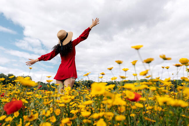 Vue de dos femelle anonyme à la mode en robe de soleil rouge debout sur un champ fleuri avec des fleurs jaunes et rouges avec les bras tendus lors d'une chaude journée d'été — Photo de stock