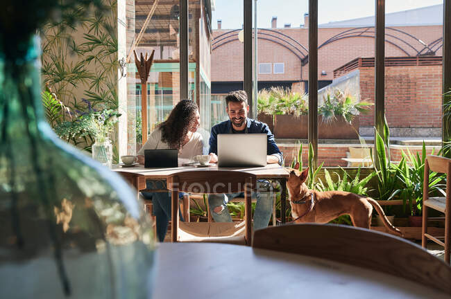 Cheerful ethnic distance workers interacting at table with netbook and tablet against purebred dog in restaurant — Stock Photo