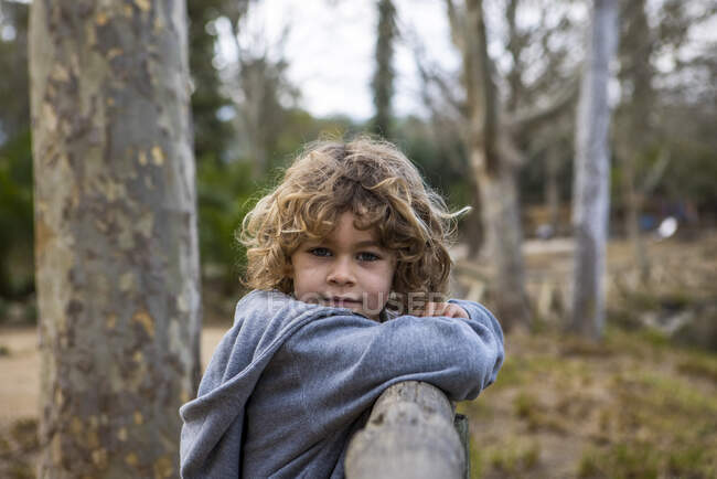 Милый ребенок в повседневной одежде на старом деревянном заборе глядя на камеру рядом с деревьями в парке — стоковое фото