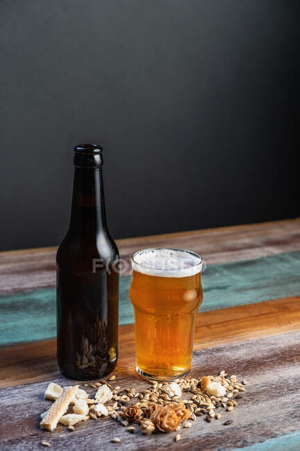 Bottle and mug of beer with foam near bread pieces and dry malt on painted table on gray background — Stock Photo