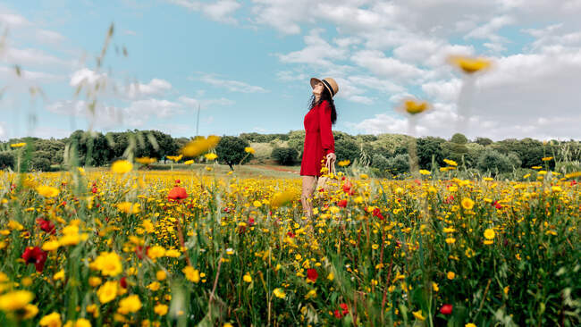 Vue latérale de la femelle heureuse en robe de soleil rouge, chapeau et sac à main debout avec les yeux fermés sur le champ fleuri avec des fleurs jaunes et rouges profitant d'une chaude journée d'été — Photo de stock