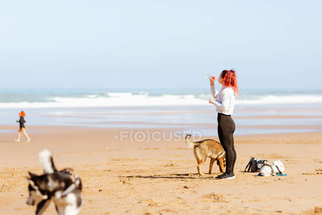 Side view of female athlete drinking water on sandy coast with dogs against unrecognizable woman and foamy ocean — Stock Photo