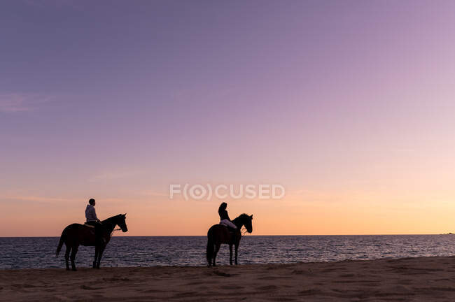Vista lateral de silhuetas de casal anônimas em éguas contemplando oceano infinito da costa arenosa ao pôr do sol — Fotografia de Stock