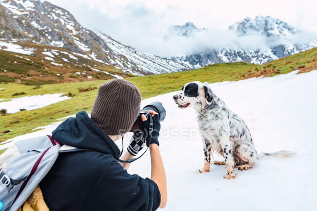 Vista posteriore di fotografa donna in abiti caldi e con zaino con macchina fotografica per scattare cane inglese Setter sulle montagne innevate in vette d'Europa — Foto stock