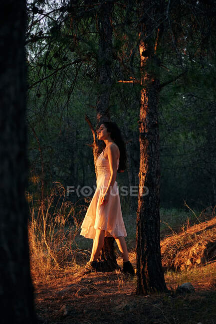 Повне тіло спокійної жінки в білій сукні, що стоїть на стовбурі дерева в темних лісах у спокійному сонячному світлі — стокове фото