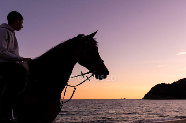 Vista lateral da silhueta masculina jovem cortada na égua que contempla o oceano da costa arenosa no por do sol — Fotografia de Stock
