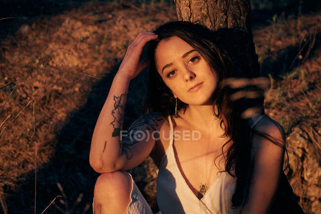 From above calm female in white dress sitting at tree trunk in dark woods in calm sundown light - foto de stock