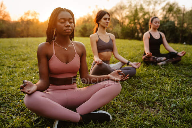 Empresa de diversas fêmeas serenas sentadas em Lotus posar no parque e meditar junto com os olhos fechados enquanto faz ioga ao pôr do sol no verão — Fotografia de Stock