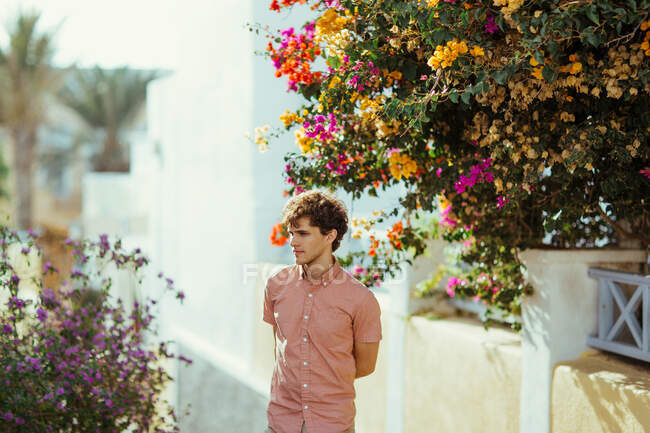 Young dreamy male standing with hands behind near white rural houses decorated with blossoming multicolored potted flowers on sunny day and looking away — Stock Photo