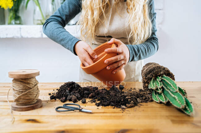 Cultive o jardineiro fêmea anônimo que prende punhado do solo fértil ao plantar o cacto espinhoso fresco no potenciômetro na tabela de madeira — Fotografia de Stock