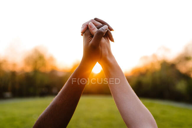 Ritaglia anonime femmine multietniche che si tengono per mano sullo sfondo del sole luminoso nel cielo del tramonto, mostrando il concetto di unità e tolleranza. — Foto stock