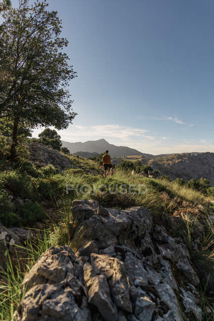 Анонимный турист с обнаженным туловищем, стоящим на грубой травянистой вершине холма в горах под голубым небом — стоковое фото