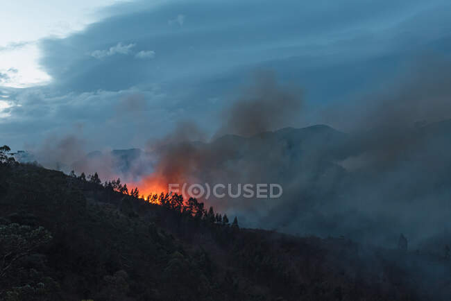 Countryside forest with cloudy sky covered by fire smoke during the evening — Stock Photo