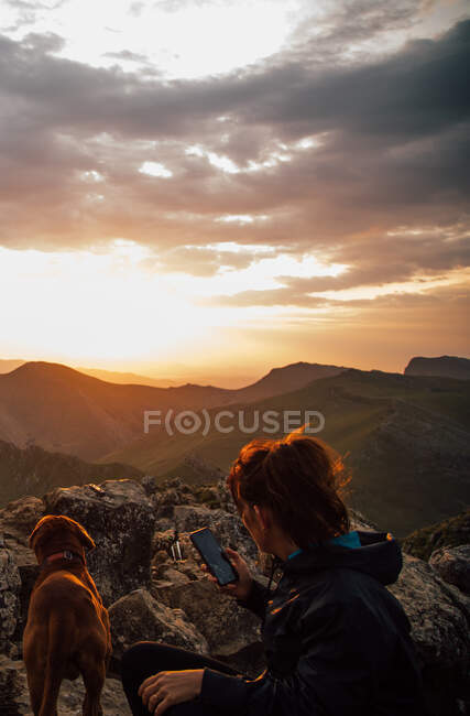 Mulher caminhando irreconhecível usando smartphone para tirar selfie com cão de raça pura sentado em pedra em altas montanhas ao pôr-do-sol — Fotografia de Stock
