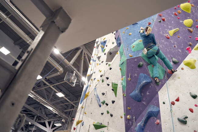 Von unten starke Frau in Sicherheitsgurt-Kletterwand beim Training in Boulderhalle — Stockfoto