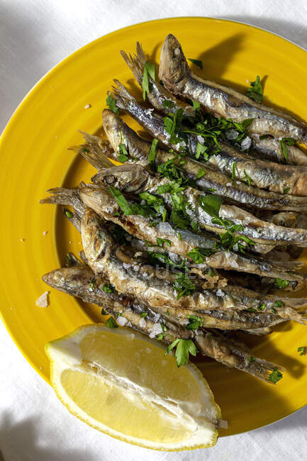 Top view plate of appetizing grilled anchovies served on table with piece of lemon and fresh herbs in restaurant — Fotografia de Stock