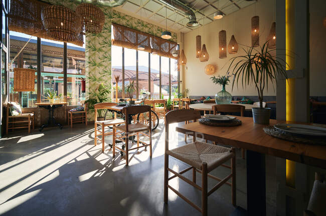 Cómodas sillas y mesas de madera con macetas colocadas en un acogedor restaurante iluminado por la luz del sol - foto de stock