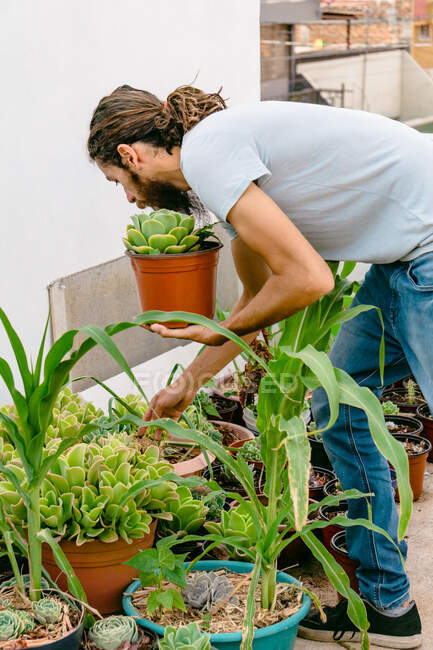 Вид сбоку бородатый молодой садовник в повседневной одежде организации пышные горшки растений на заднем дворе — стоковое фото