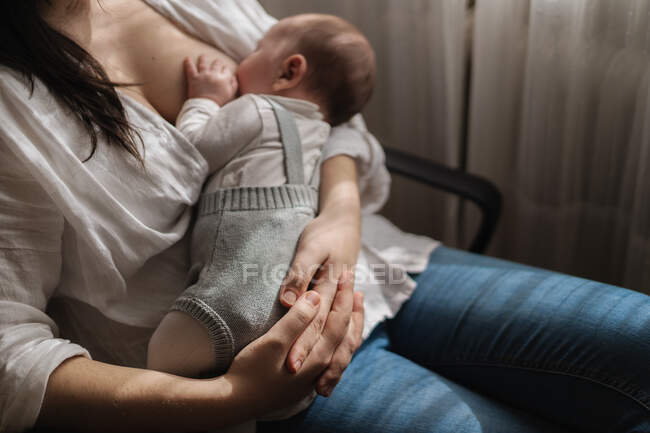 Recortado irreconocible mamá adulta en ropa casual amamantando a un niño pequeño y encantador mientras está sentado en la habitación de la casa de luz - foto de stock