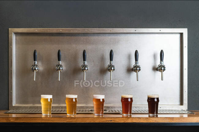 Different types of beer with foam in glass jugs against row of taps in bar on gray background — Stock Photo