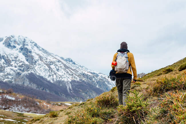 Vista trasera de turista anónimo con mochila caminando sobre césped nevado en valle de montañas en Picos de Europa - foto de stock