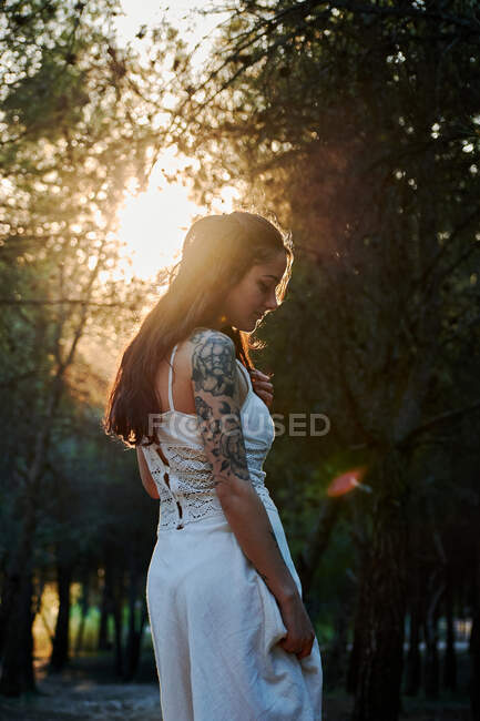 Side view calm female in white dress standing at tree trunk in dark woods in calm sundown light — Fotografia de Stock