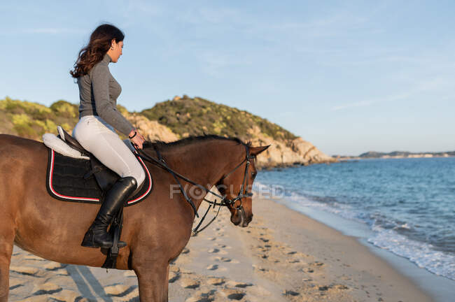 Vista lateral de la joven hembra mirando hacia otro lado mientras monta caballo de castaño en la orilla del mar arenoso contra el monte bajo el cielo claro - foto de stock