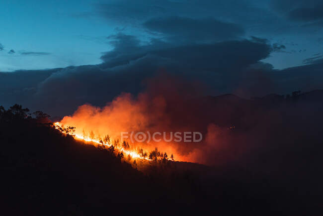Деревенский лес с облачным небом, покрытым огненным дымом в вечернее время — стоковое фото