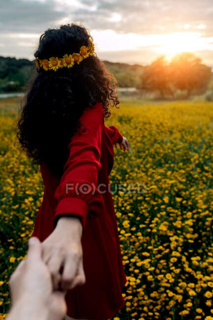 Hembra anónima en corona de flores sosteniendo la cosecha amada a mano en el prado con margaritas florecientes bajo el cielo nublado al atardecer - foto de stock