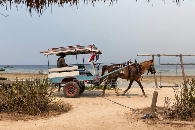 Vehículo masculino anónimo a caballo en la pintoresca costa bajo el cielo azul en el país tropical - foto de stock