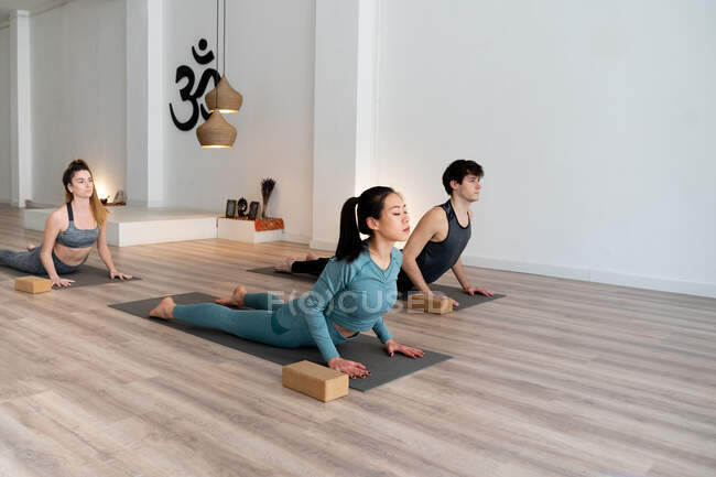 Gesellschaft verschiedener gelassener Menschen in Aktivkleidung beim Yoga in Cobra-Pose während des Kurses im Studio — Stockfoto