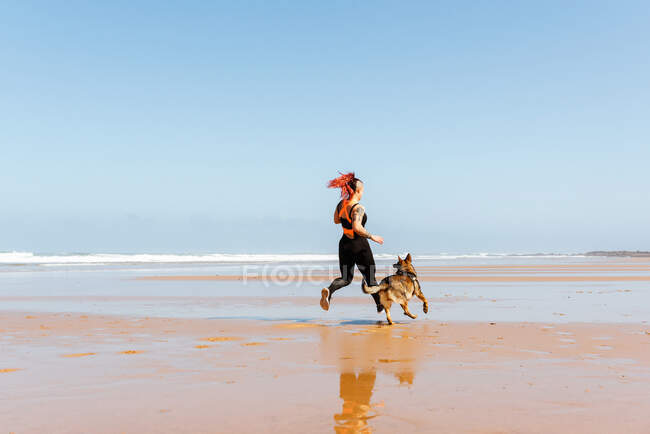 Обратный вид на неузнаваемую спортсменку, бегущую с немецкой овчаркой на берегу против океана — стоковое фото
