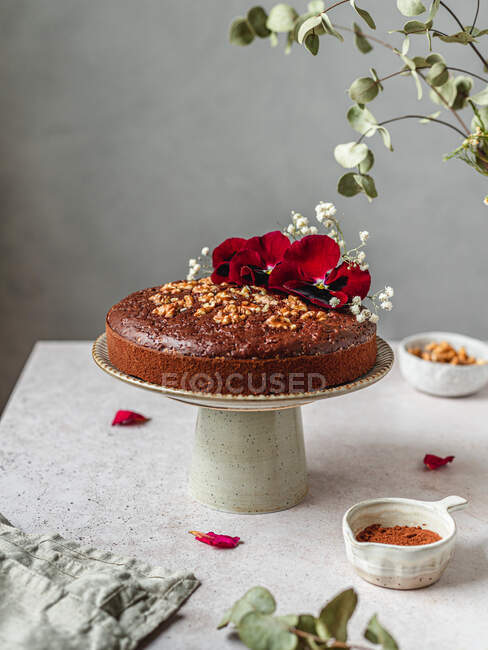Bolo de chocolate delicioso biscoito decorado com botões de flores e nozes servidos em stand na mesa — Fotografia de Stock
