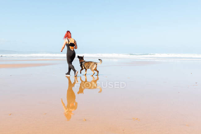 Visão traseira de atleta feminina irreconhecível andando com pastor alemão na costa contra o oceano — Fotografia de Stock