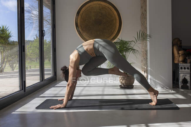 Vista lateral de la tranquila hembra de pie en Adho Mukha Svanasana en la estera y haciendo yoga en casa en la habitación con luz solar - foto de stock