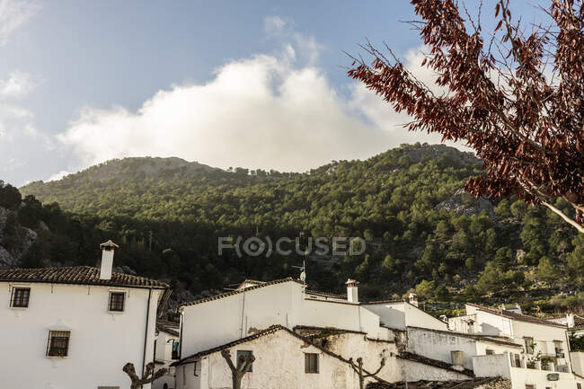 Facciate di vecchi cottage bianchi situati su ampi terreni collinari coperti da lussureggiante vegetazione abbondante nella giornata di sole a Siviglia — Foto stock