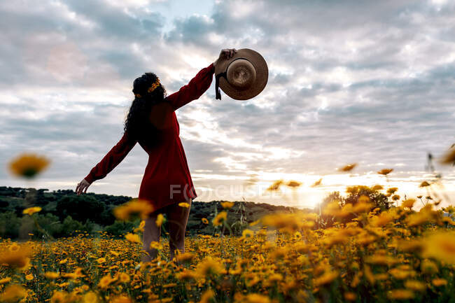 Back view of unrecognizable female with hat enjoying sundown in countryside field with blossoming flowers under cloudy sky — Stock Photo