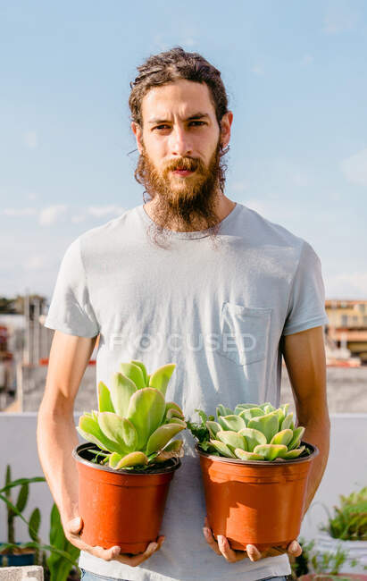 Bearded young male horticulturist carrying potted lush succulents while working in sunny garden looking at camera — Stock Photo