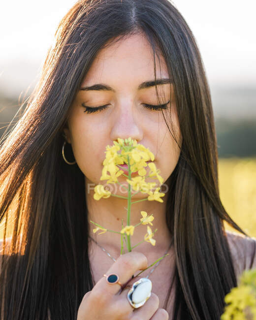 Encantada hembra con los ojos cerrados oliendo flor amarilla mientras está de pie en el campo de colza en el día soleado - foto de stock