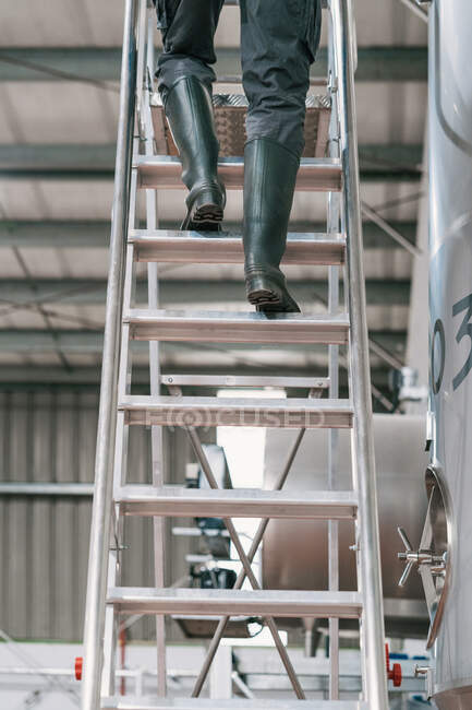 Зворотній вигляд врожаю невпізнаваний чоловічий інженер, що висхідна драбина проти металевої посудини на заводі пива — стокове фото