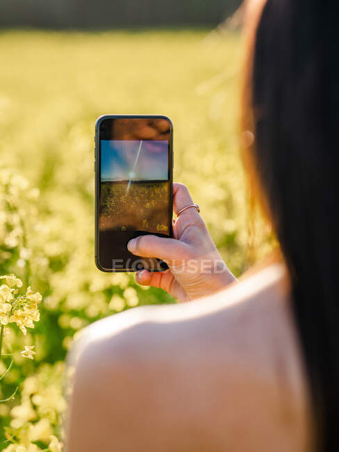 Vista trasera femenina irreconocible con hombros desnudos tomando fotos en el teléfono inteligente del campo floreciente con flores amarillas en el campo soleado - foto de stock