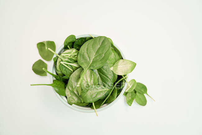 Вид сверху зеленой листвы шпината с вензелями и стеблями в миске на белой поверхности — стоковое фото