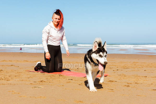 Улыбающаяся спортсменка тренируется на коврике, глядя в сторону чистокровной собаки на песчаном побережье — стоковое фото