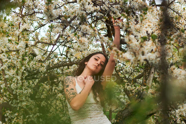 Junge Frau mit tätowiertem Arm trägt weißes Kleid und steht in Blumen des Baumes und blickt in die Kamera — Stockfoto