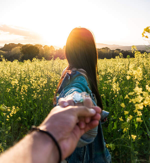 Vista posterior de una mujer irreconocible sosteniendo la mano del novio mientras está de pie en el campo de colza floreciente en el clima soleado - foto de stock