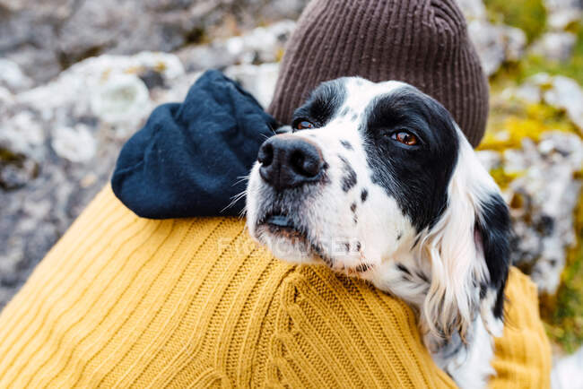 Visão traseira da pessoa anônima em chapéu quente abraçando adorável tipo English Setter dog in mountain valley Peaks of Europe — Fotografia de Stock