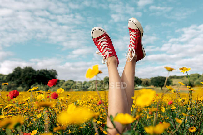 Неузнаваемая женщина в яркой обуви, лежащей со скрещенными ногами среди цветущих маргариток под облачным голубым небом в сельской местности. — стоковое фото