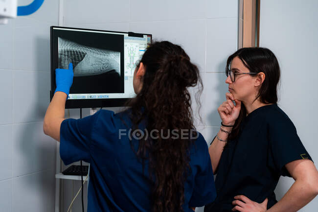Veteranos femeninos anónimos en uniformes que hablan mientras miran la pantalla de la computadora con imagen radiográfica del cuerpo de la mascota en la clínica - foto de stock