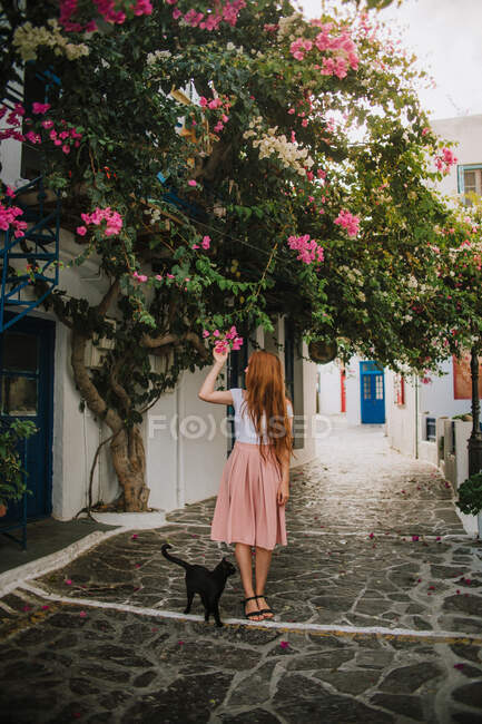 Piena lunghezza femmina anonima in abito elegante toccare albero in fiore fiori rosa mentre in piedi su strada pedonale in pietra vicino gatto nero nel piccolo villaggio autentico in Grecia — Foto stock