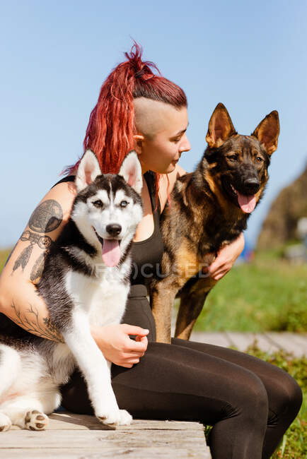 Content female athlete with piercing embracing Siberian Husky and German Shepherd while looking away in sunlight — Stock Photo